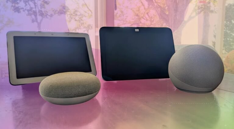 Google Home and Amazon Echo